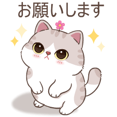 Ang Pao Cat : V. Japan