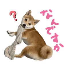 miko_20220619172131