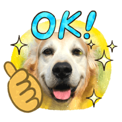 ririka_gol gol muu a