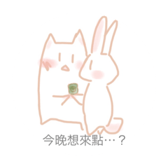 貓貓與阿兔life
