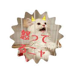 misa_20220619215542