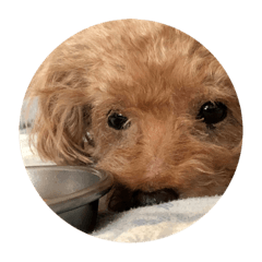 Kaito_20220619230709