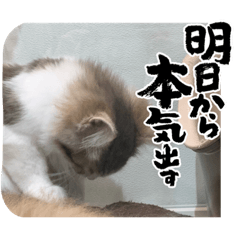 kazuki_20220619204449