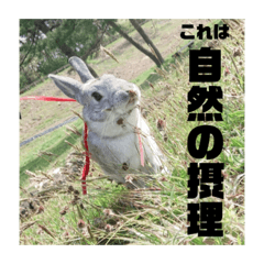 USHAOSHi_20220620010332