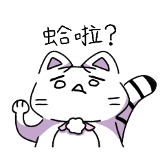 窩不是卯咪！是兔猻！