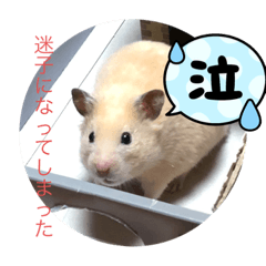 I LOVE hamster_20220619213247