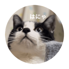 yun_20220620161853