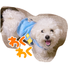 HANA_20220620152908