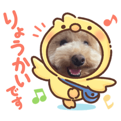 momoko_20220620215645