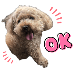 Natsumi_20220620232953