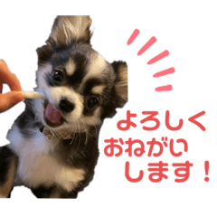 Saori_20220621080430