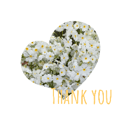 asako_20220620214206