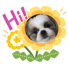 Honey_20220621075817