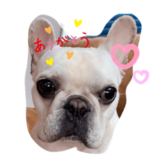 Natsumi_20220621080918