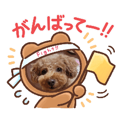 Aoi_20220621013017