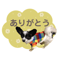 yuka_20220621012754