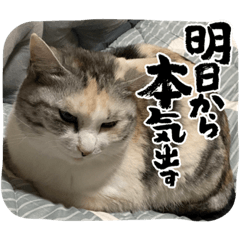 SAK_20220620232758