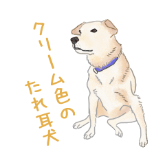 Dog (Colloquialism and Honorifics)
