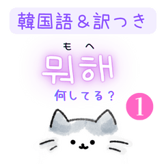 Shiratama-cat in Korean & Japanese 1