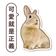 Latte The Bunny - Traditional Chinese