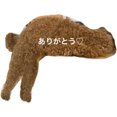 ayumi_20220621001653