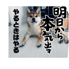 saori_20220620223103aa