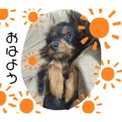 モプ様すたんぷ