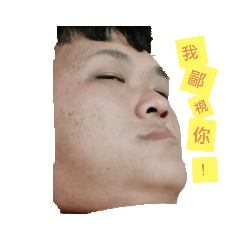 輝輝的快樂森活