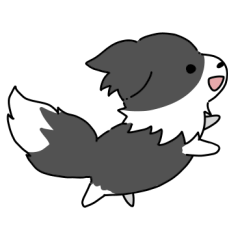 Deformed border collie Black White