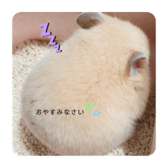yuka_20220622121538