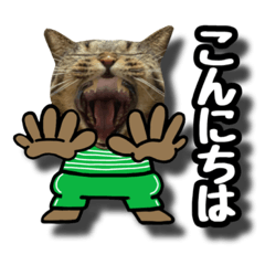 michiko_20220622083834