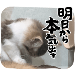 kazuki_20220621193109