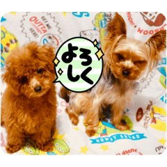 kaori_20220622004828