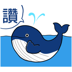 鯨魚系