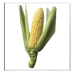 Corn rocket