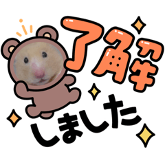 haruta_20220621184856