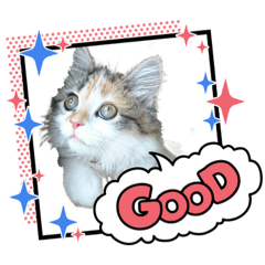 YUKA_20220622085707