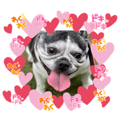 kunugi_20220622143221