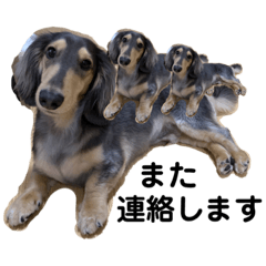 shiho_20220622125353