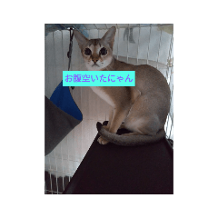 YUTO_20220622151058