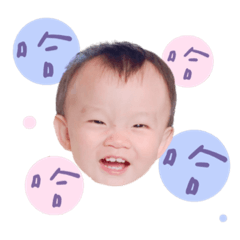 夏小寶の日常