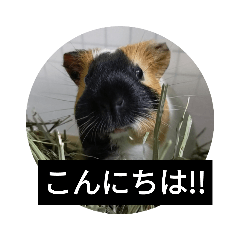 tonton_20220621204346