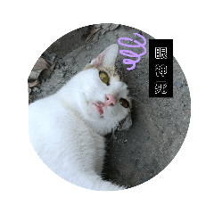 白白與他幾個孩子們