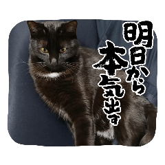 uchinonukosenpai