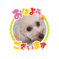 RINA_20220622161545
