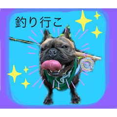 alice_20220623081116