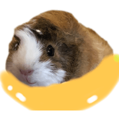 Natsumi_20220622201010