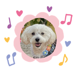 SAORI_20220622194035