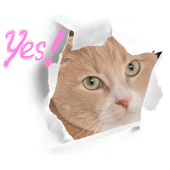 ririka_20220623004522