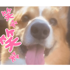 SHIHO_20220622203413